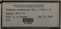 Image Associated With the Occurence